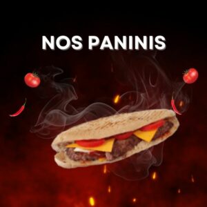 Nos Paninis